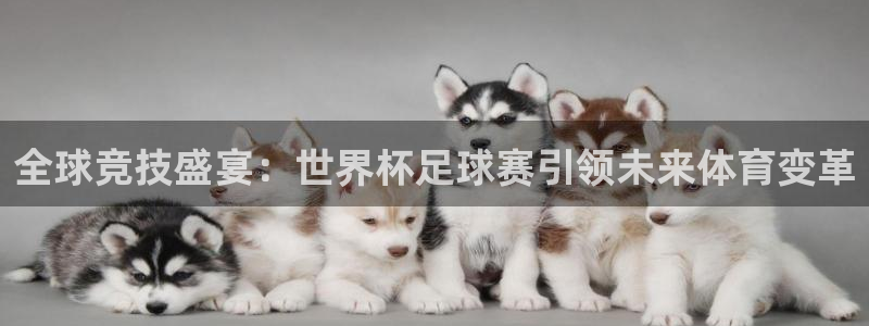 意昂体育app下载安装官网：全球竞技盛宴：世界杯足球赛引领未