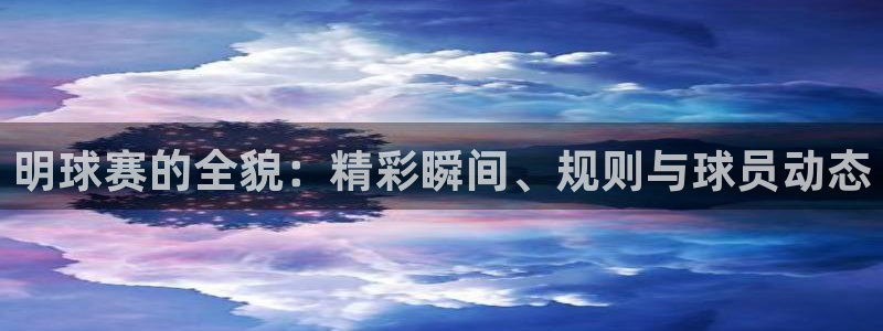 意昂平台app官方下载：明球赛的全貌