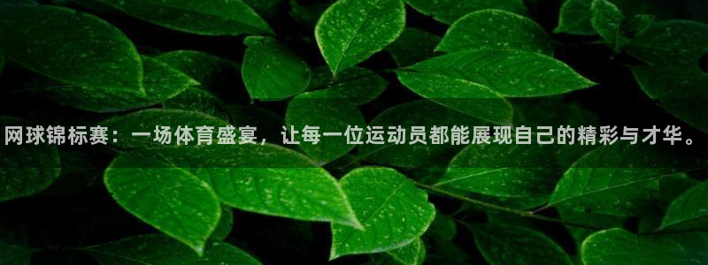 意昂平台app官方下载：网球锦标赛：