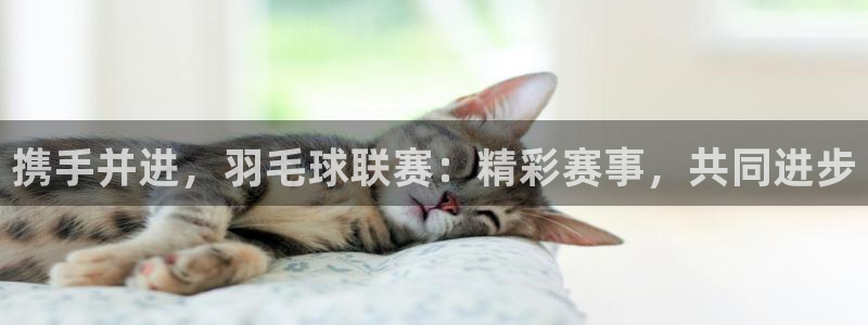 意昂注册：携手并进，羽毛球联赛：精彩