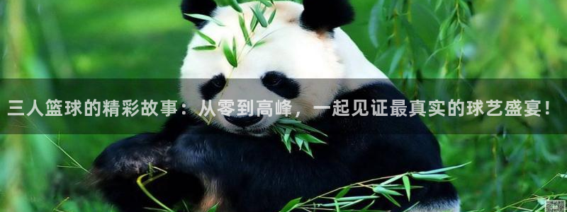 意昂注册：三人篮球的精彩故事：从零到