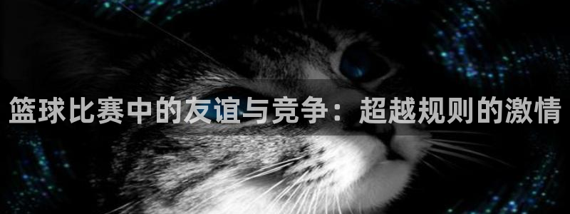 意昂体育app正版下载官网：篮球比赛
