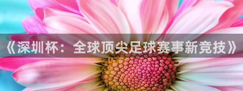 意昂体育app官方网站入口下载：《深