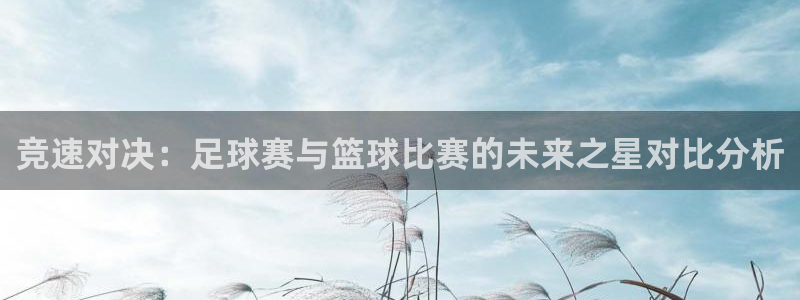 意昂体育app官方网站入口下载：竞速