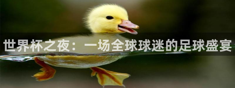 意昂体育官网：世界杯之夜：一场全球球