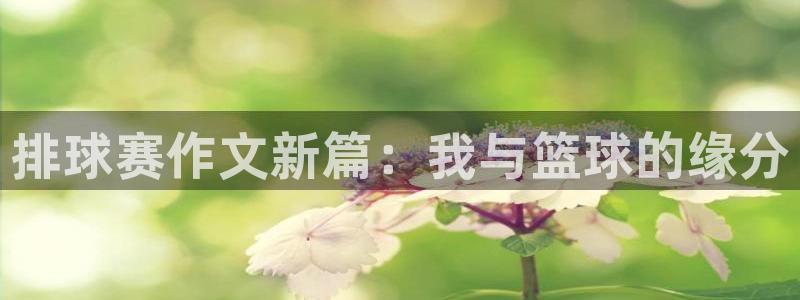 意昂平台官网：排球赛作文新篇：我与篮