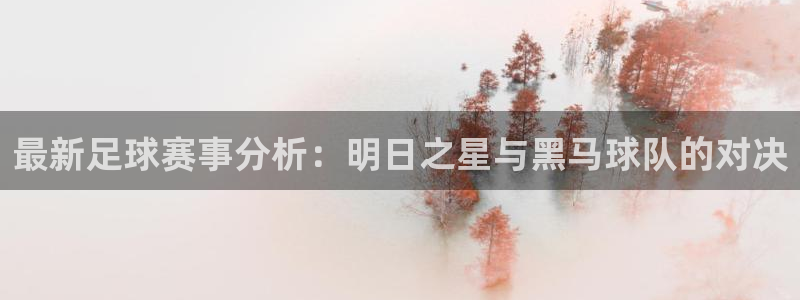  意昂平台登录入口最新版本介绍：最新足球赛事分析：明日之星与黑