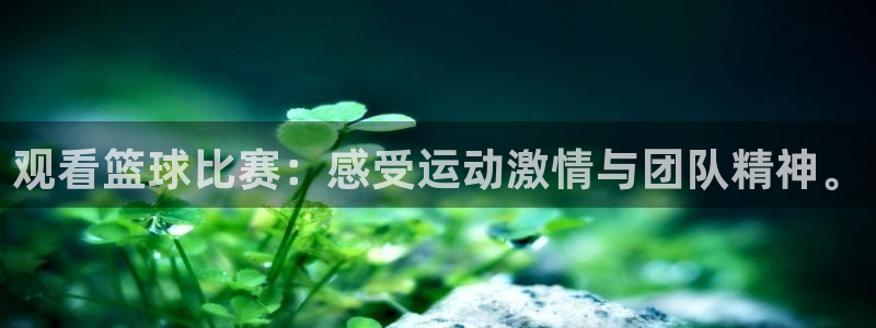 意昂体育app正版下载官网：观看篮球比赛：感受运动激情与团队