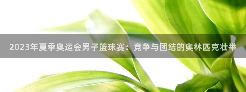 意昂体育app官方网站入口下载：20