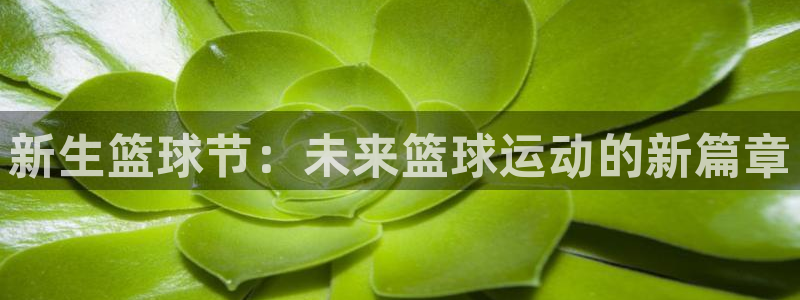  意昂平台登录入口最新版本介绍：新生篮球节：未来篮球运动的新篇
