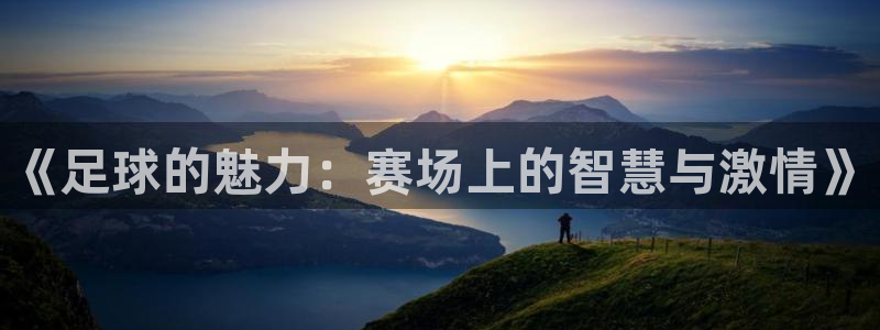  意昂官网入口登录：《足球的魅力：赛场上的智慧与激情》