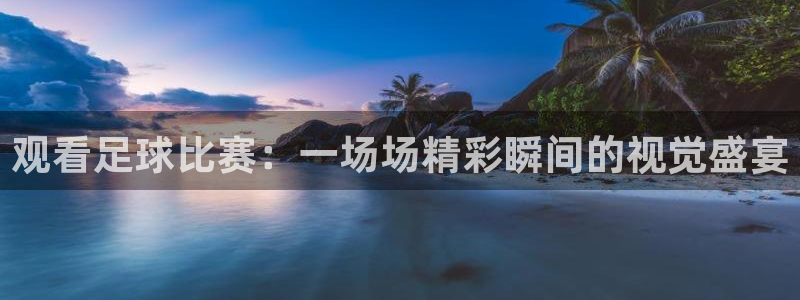 意昂官网入口登录：观看足球比赛：一场场精彩瞬间的视觉盛宴