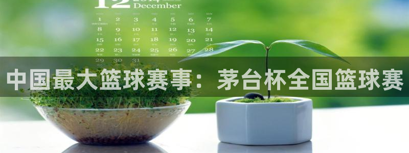 意昂平台登录入口2025：中国最大篮