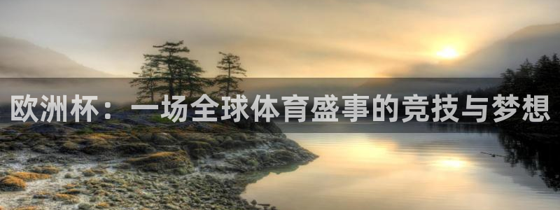 意昂体育app官方网站入口在线观看：欧洲杯：一场全球体育盛事
