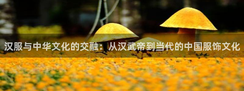 意昂平台登录入口最新版本介绍：汉服与中华文化的交融：从汉武帝