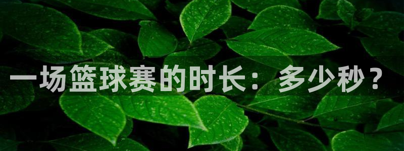 意昂官网入口登录：一场篮球赛的时长：多少秒？
