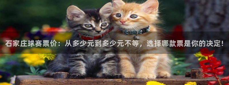  意昂体育app官方下载安装：石家庄球赛票价：从多少元到多少元