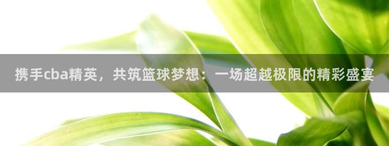 意昂官网入口登录：携手cba精英，共