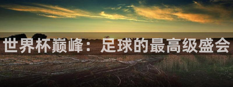  意昂官网入口登录：世界杯巅峰：足球的最高级盛会