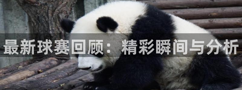 意昂平台登录入口2025：最新球赛回顾：精彩瞬间与分析