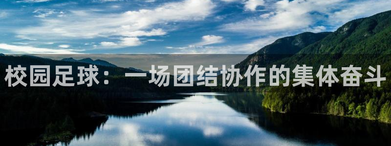 意昂平台登录入口最新版本介绍：校园足